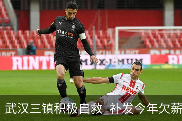 武汉三镇积极自救 补发今年欠薪 准入大概率会解决